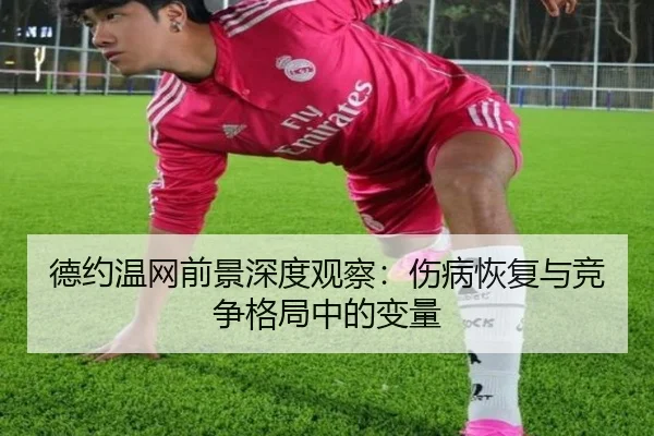 德约温网前景深度观察：伤病恢复与竞争格局中的变量